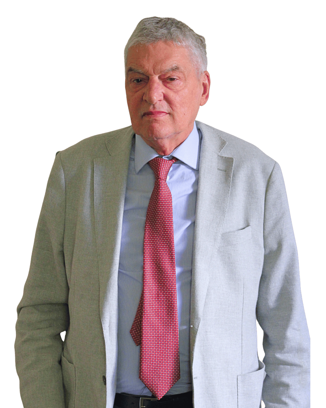 Vittorio Gallina Chairman